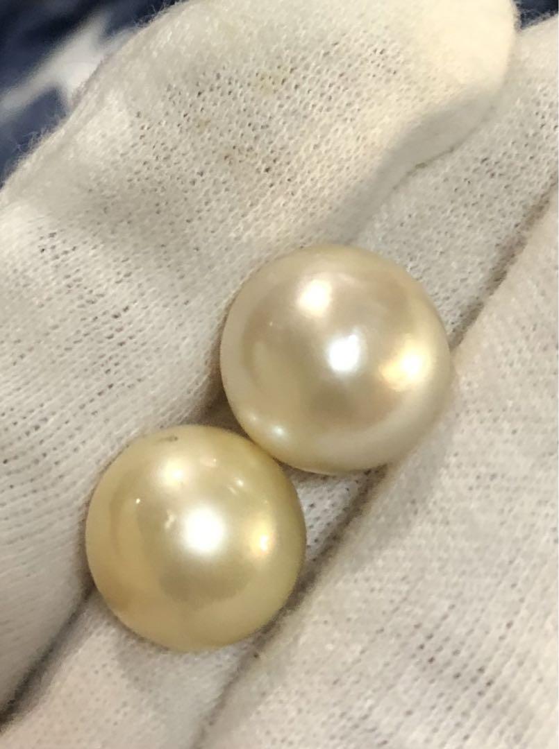 K14WG 天然南洋白蝶ゴールデン真珠 丸系ピアス 14.55/14.20mm