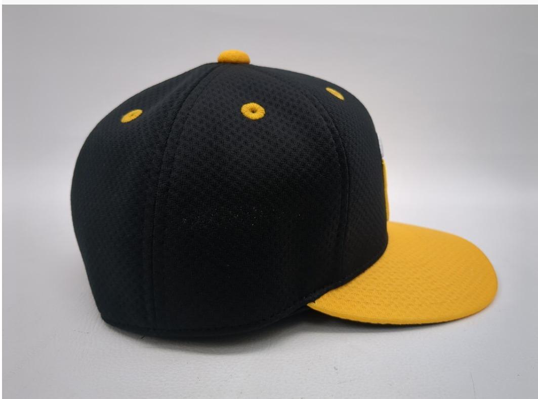 約58cm NPB90周年記念ロゴ 阪神タイガース プロコレ キャップ