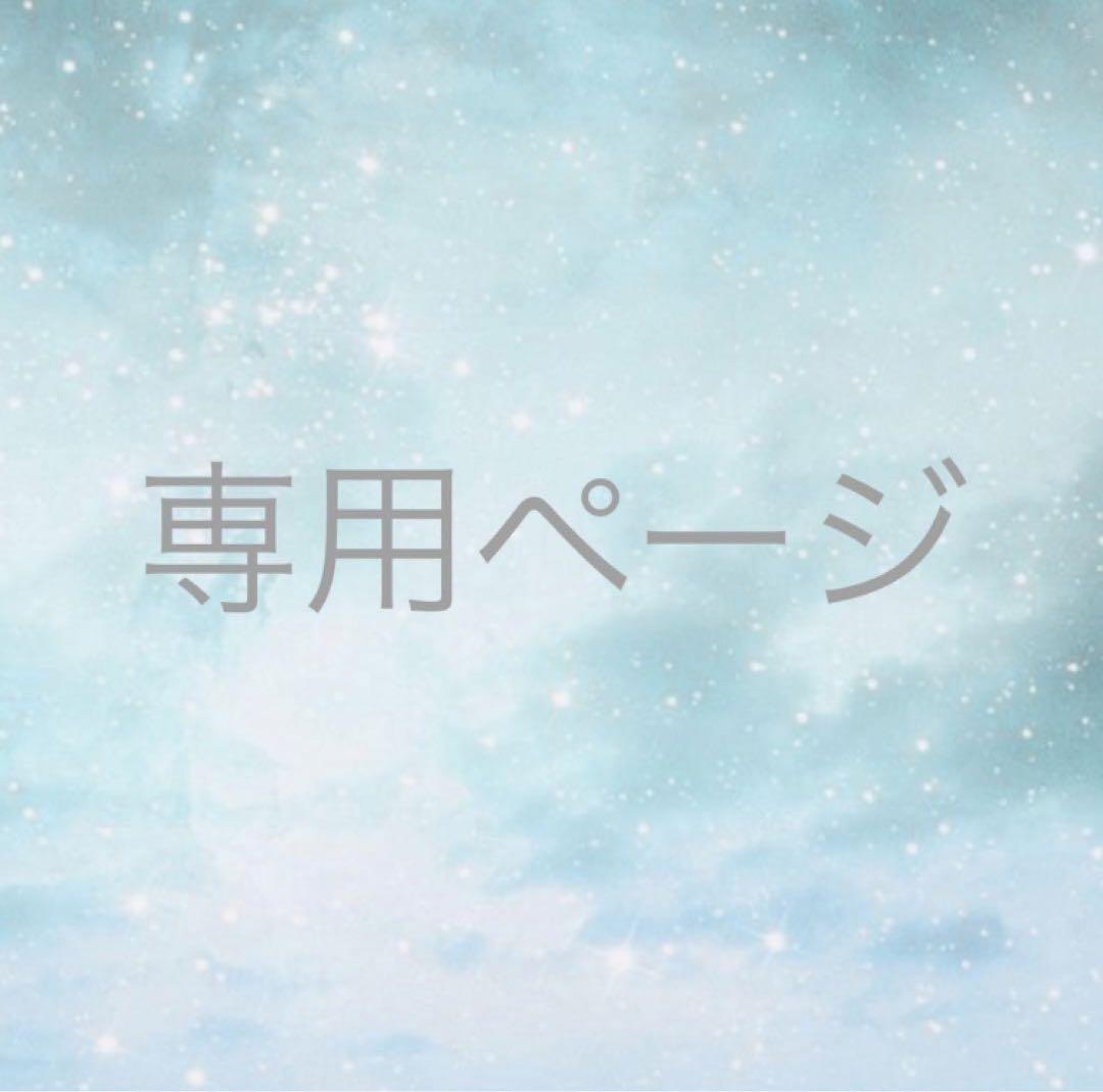 専用ページ