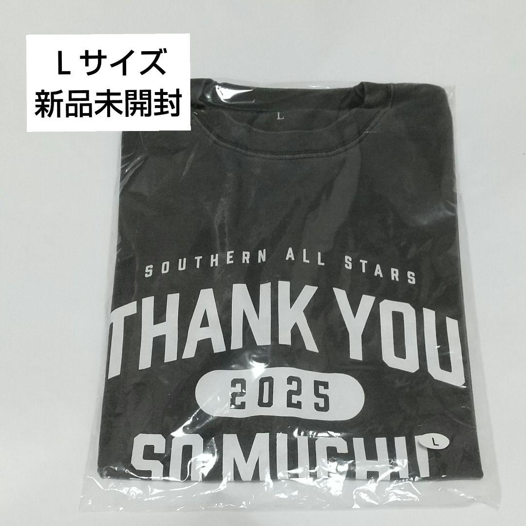 ワイワイさん専用　Dragon Ash MIX IT UP Tシャツ　ブラック Dragon Ash Tシャツセット MIX IT UP ライブ会場限定