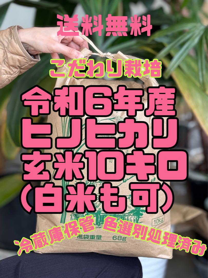 (即日発送)ヒノヒカリ 令和6年産 10キロ 冷蔵庫保管