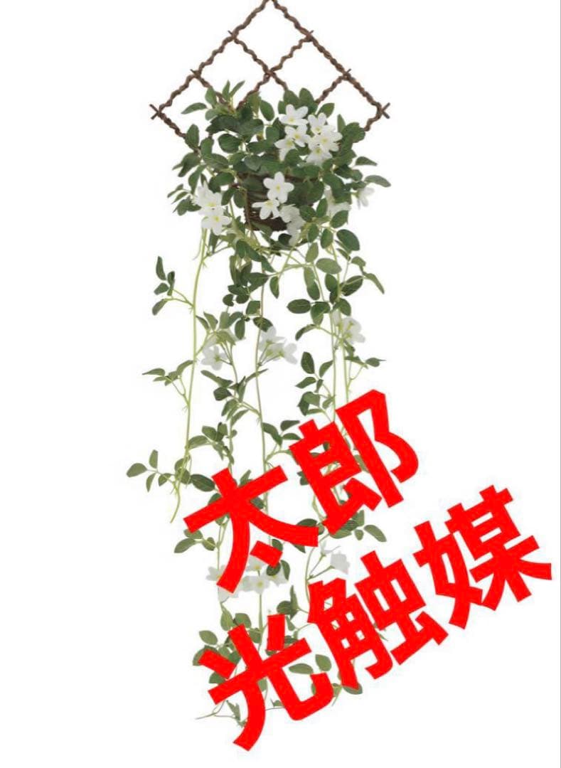 壁掛けブロッサム