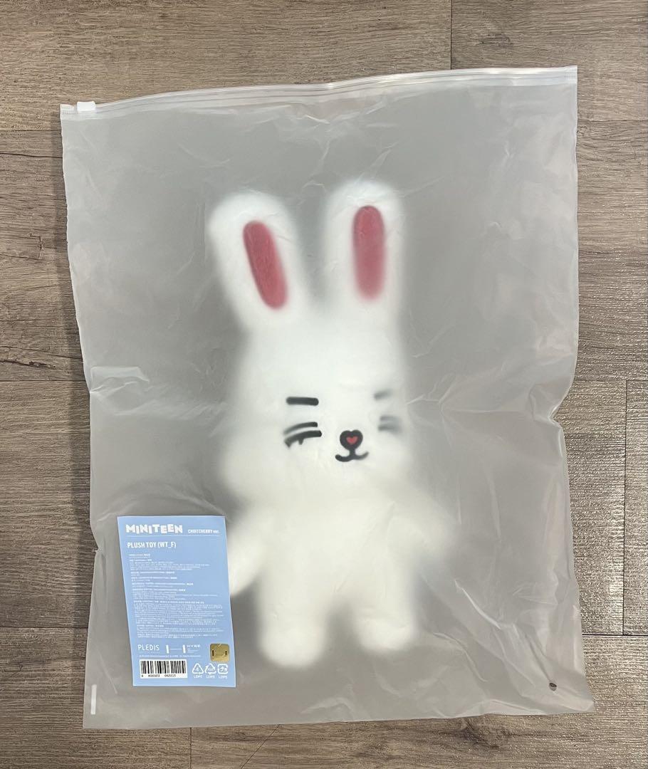 SEVENTEEN韓国ポップアップminiteenPLUSHTOYエスクプス新品