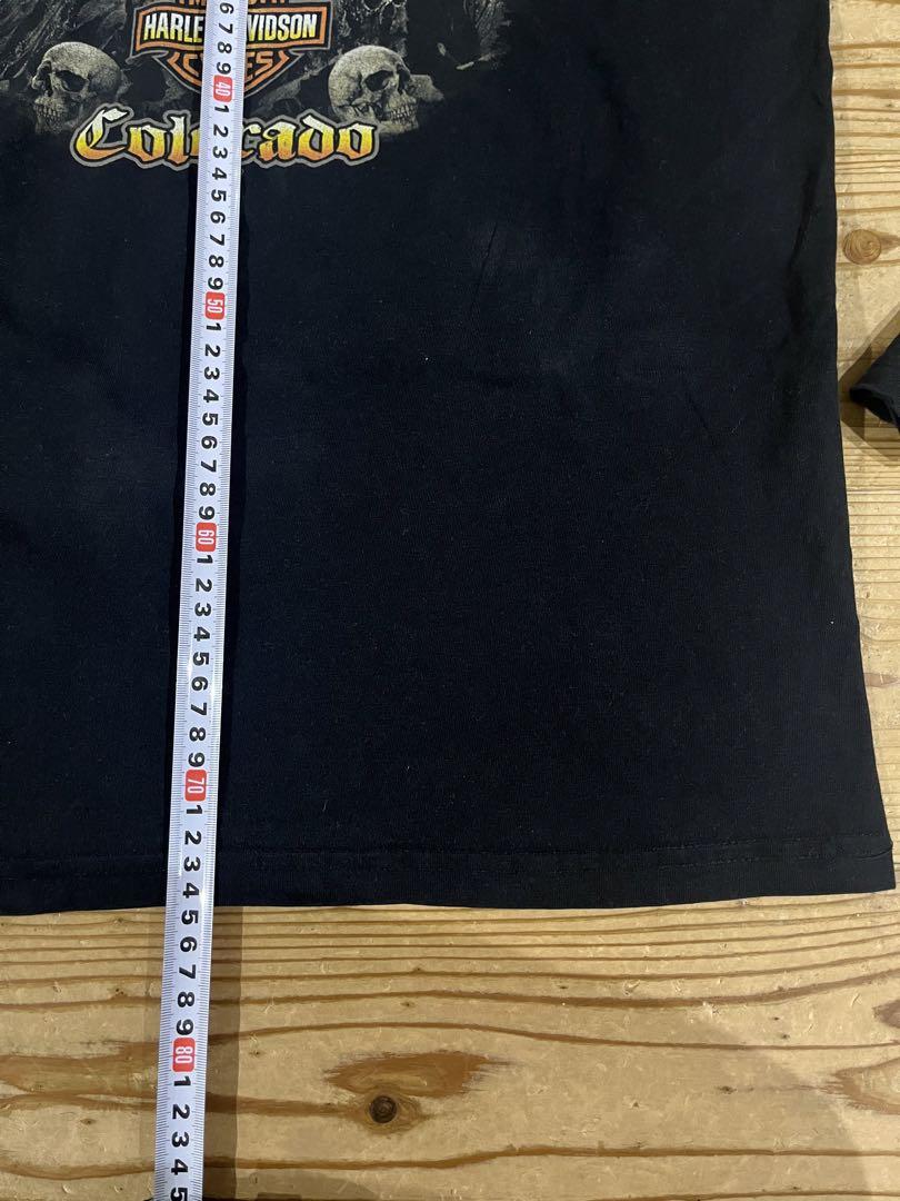 Harley Davidson Lサイズ 長袖 ロンT フレイムス スカル