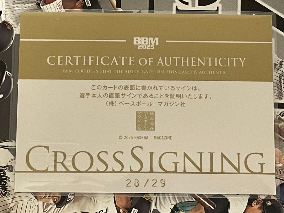 BBM広島カープ塹江敦哉目立った傷や汚れなし YUZUMIYA_COM