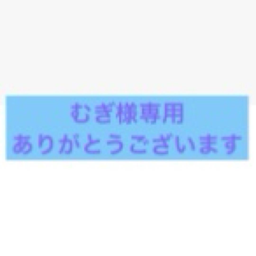 むぎ様専用