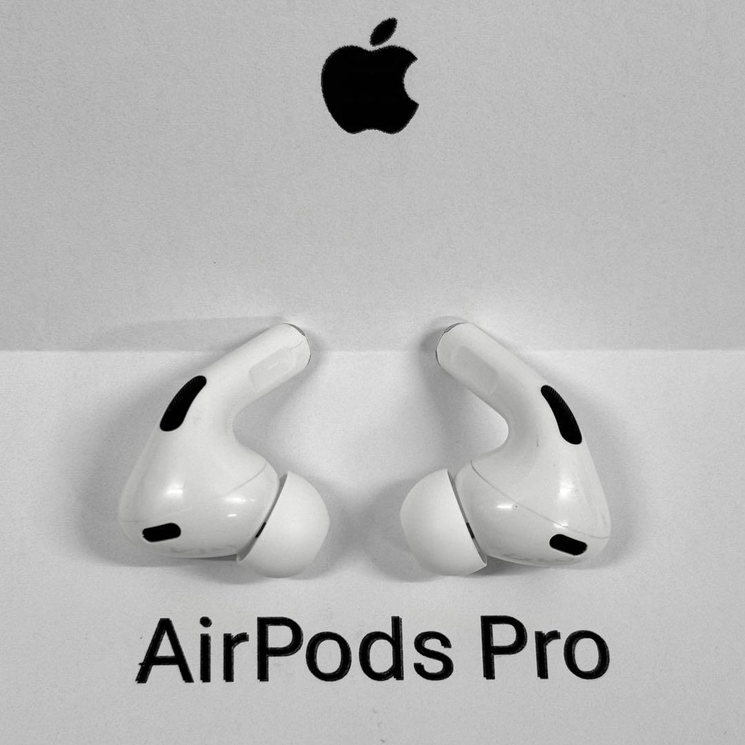 【綺麗】Apple AirPods Pro 第2世代 USB-C イヤホンのみ
