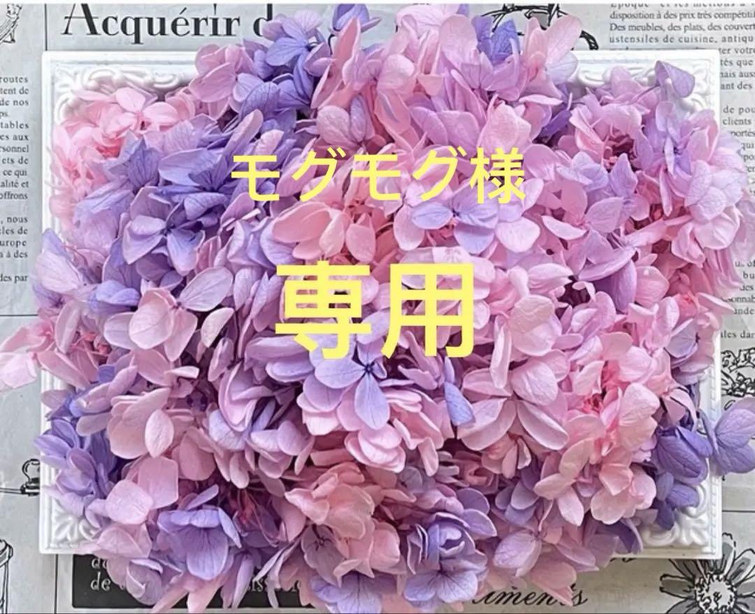 モグモグページ　おまとめ割引-1000