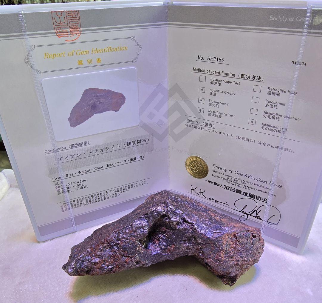 ⑥　隕石　メテオライト　カンポデルシエロ