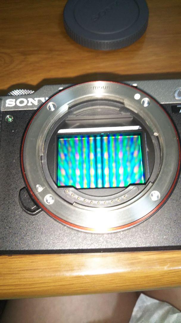【INA】SONY α7C コンパクトデジタルカメラ