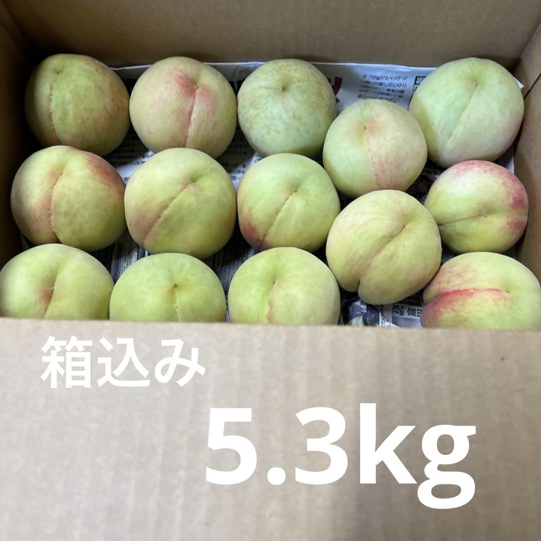 ⑨若桃 加工用 硬い桃