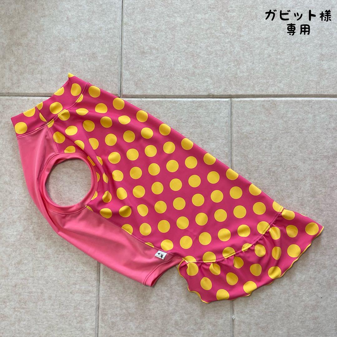 大型犬服 ラッシュガード ワンピース 【専用】