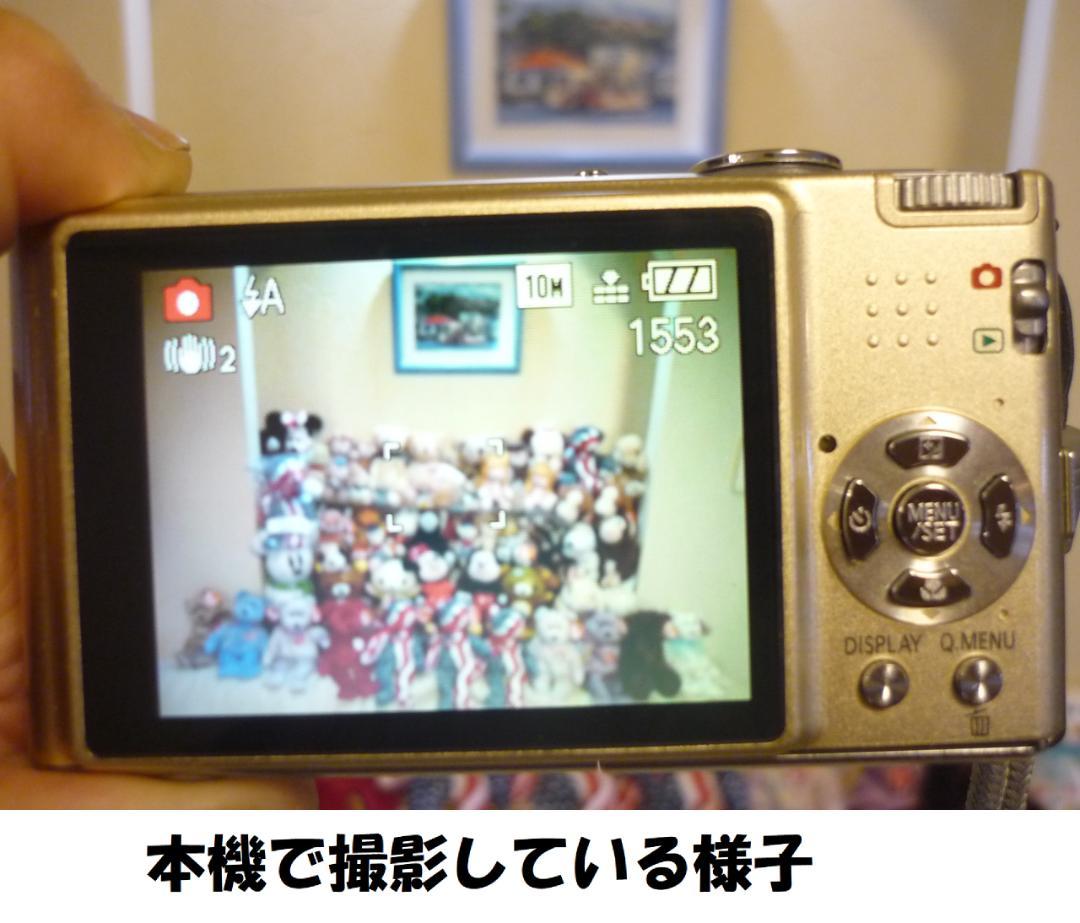 LUMIX★DMC FX35⭕️安心の実働品★お嬢様カメラの後継機★オシャレ