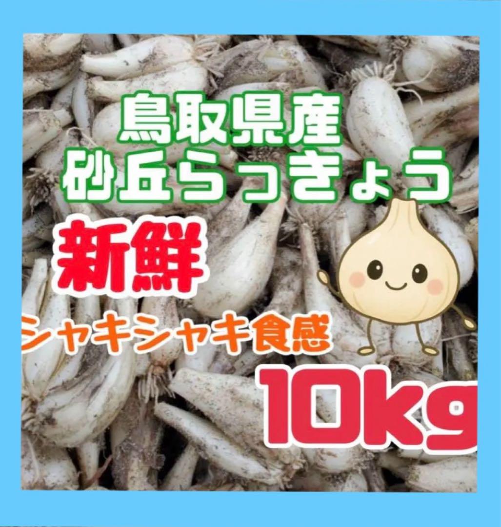 鳥取県産 砂丘 らっきょう 10kg 農薬不使用 - メルカリ