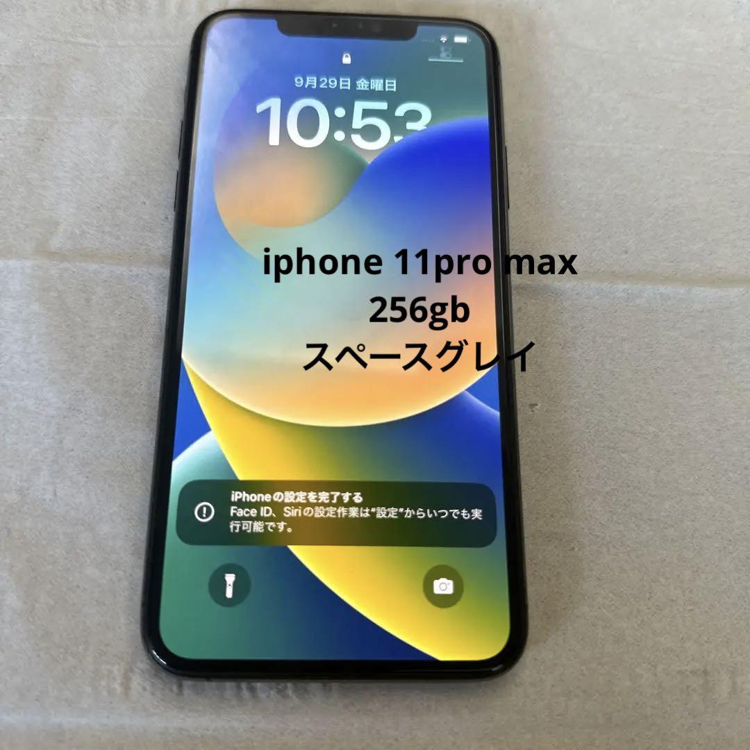 iPhone 11 Pro Max スペースグレイ 256 GB SIMフリー abitur.gnesin