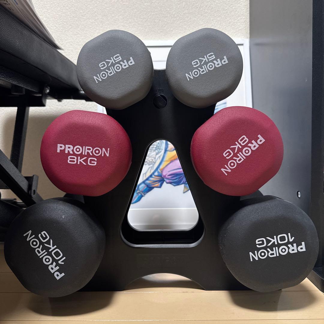 PROIRON ダンベル 2個セット5kg 8kg 10kg セット 筋トレPROION