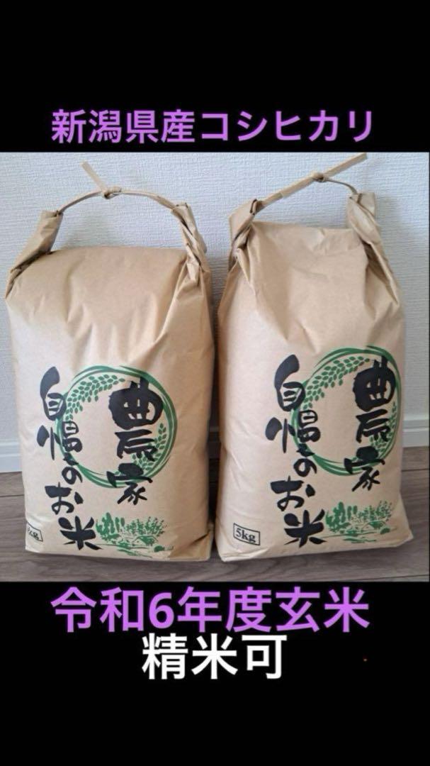 令和6年度収穫　新潟県産コシヒカリ玄米10kg 農家の米