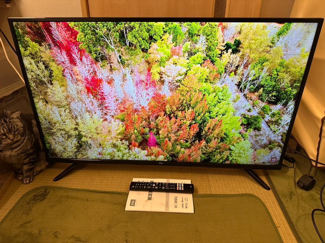 4K対応　スマートテレビ！TCL 43P615 43型　アプリ内蔵式　極美品！