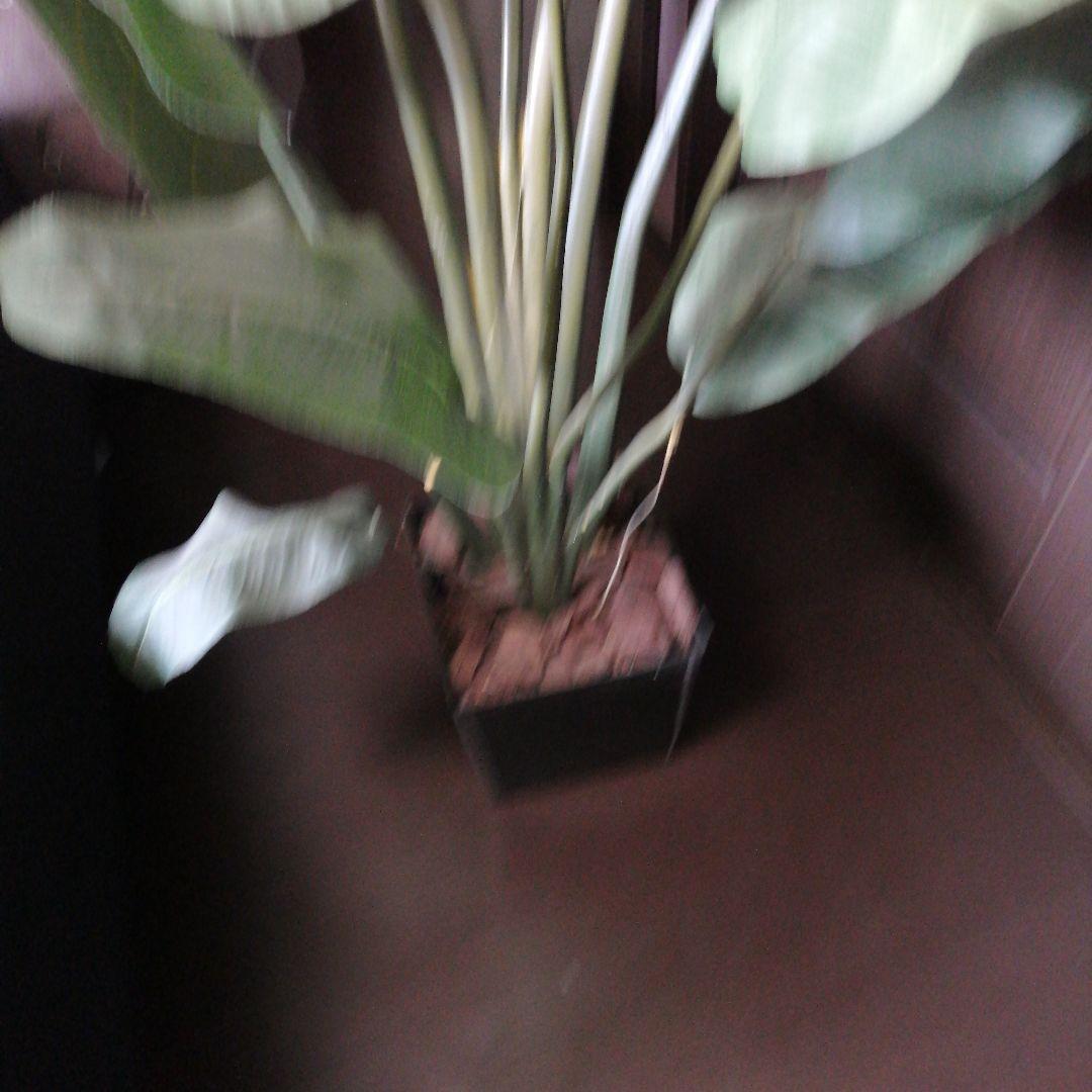 人工観葉植物 フェイクグリーン 観葉植物　170cm程