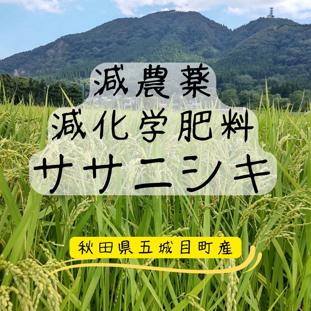 タケ様専用
