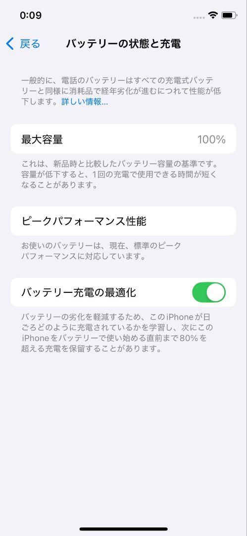 iPhone XS 256GB 極美品　 バッテリー新品　100％
