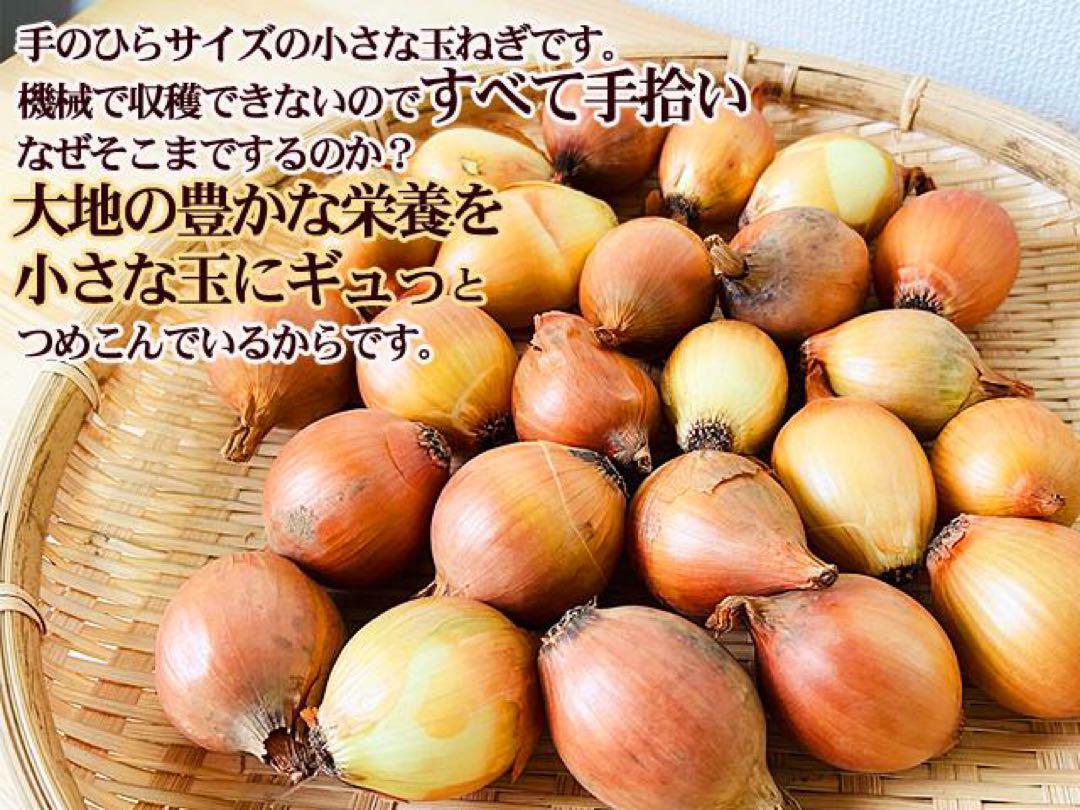 fukufuku　ペコロスタイプ玉ねぎ5kg、黒千石豆950グラム