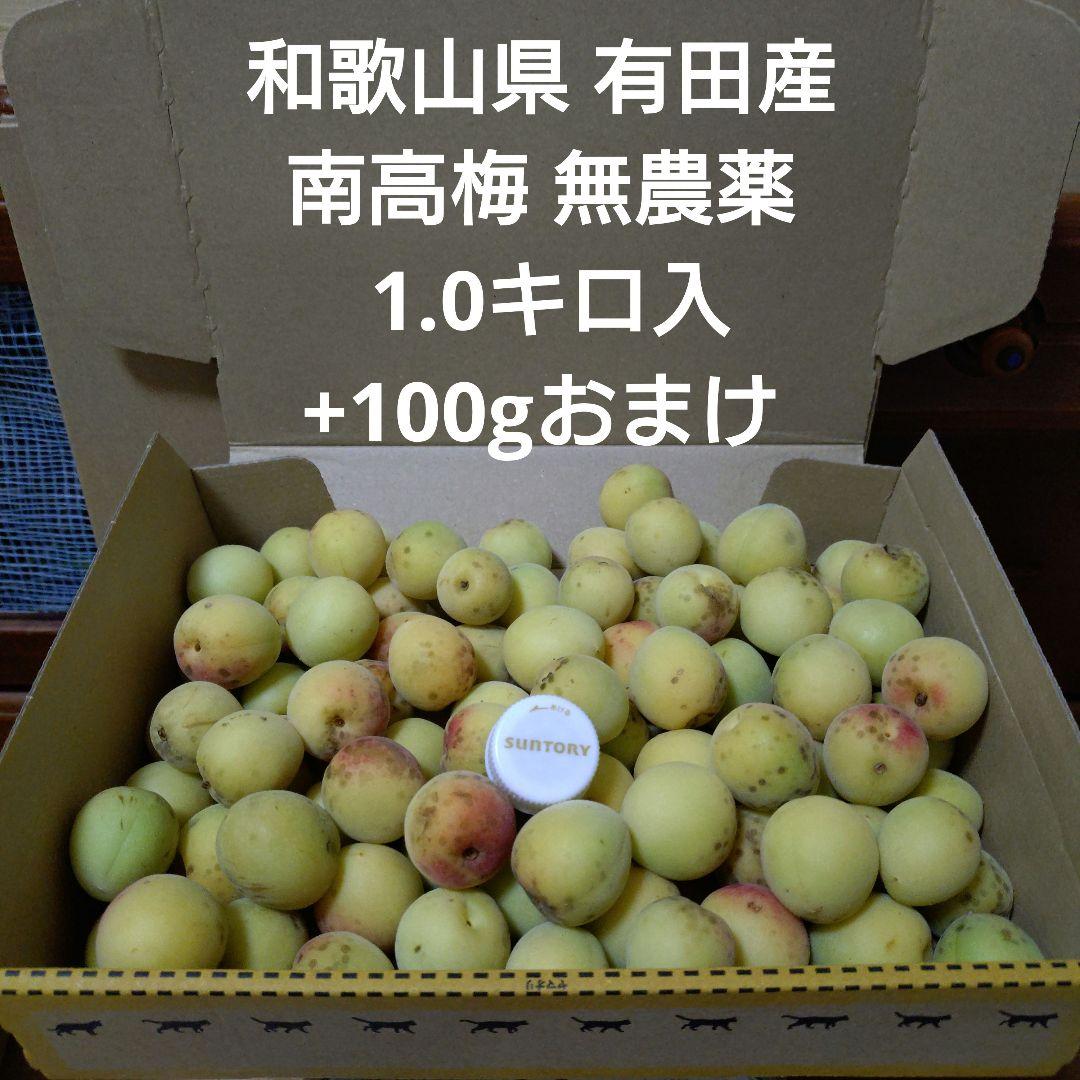 梅無農薬和歌山県産1.1キロ