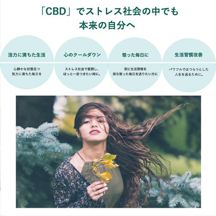 格安2022 29 CBD 95% 容量1g OGKUSH CBDワックス VAPEセット cUi1C-m40708530516 正規品低価