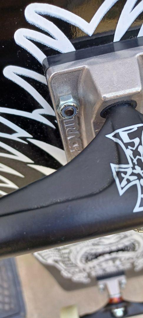 royal Hawaiian スケートボード　　dogtown コンプリート