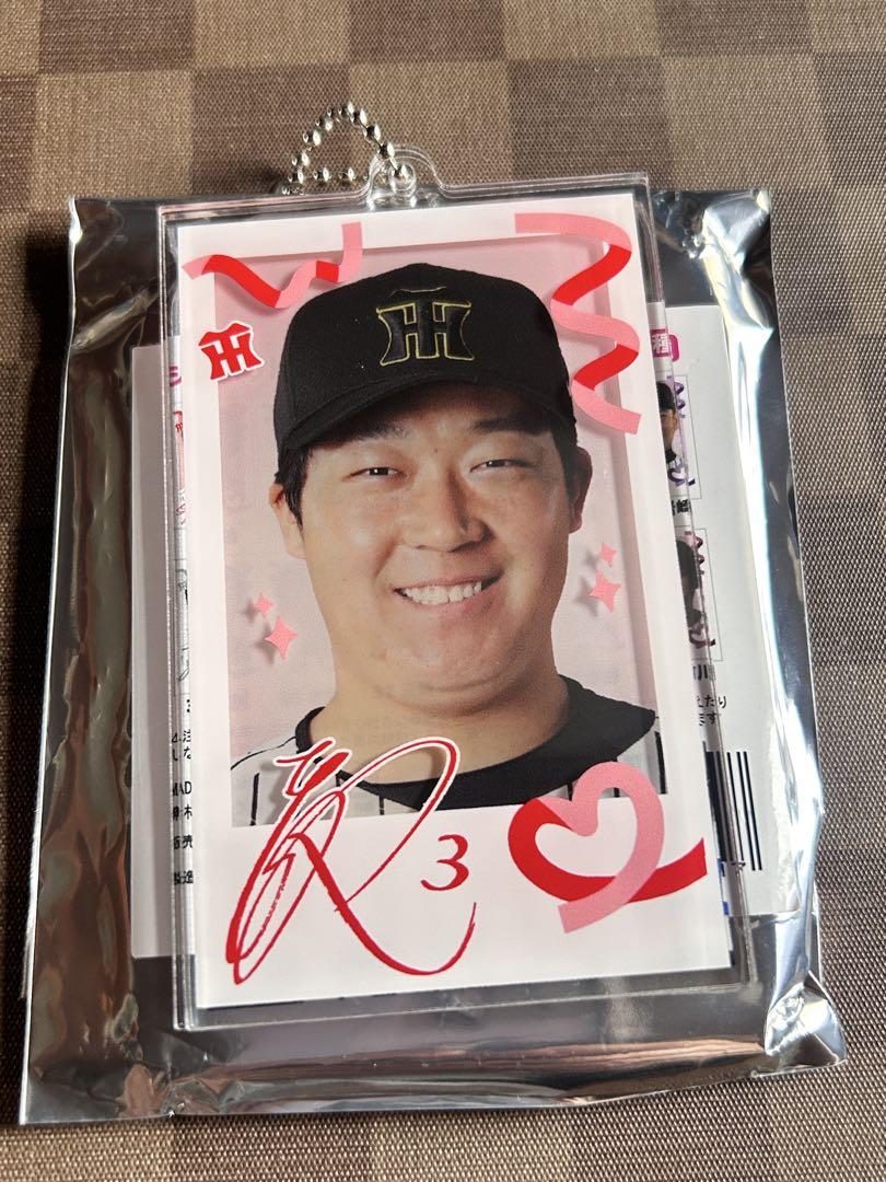 阪神タイガース シークレットレイヤーアクリルキーホルダー 大山