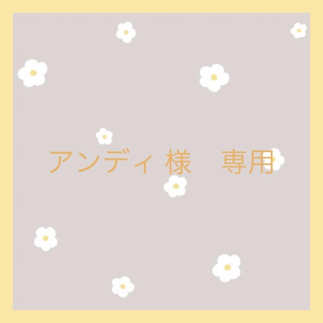 アンディ　様　専用