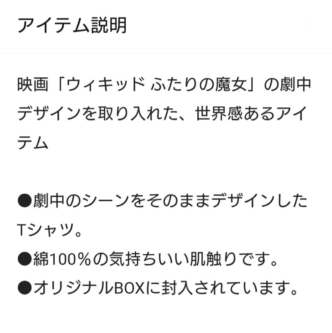 【3COINS】ウィキッド/Ｔシャツ&ヘアターバン＆エコバッグセット エルファバ