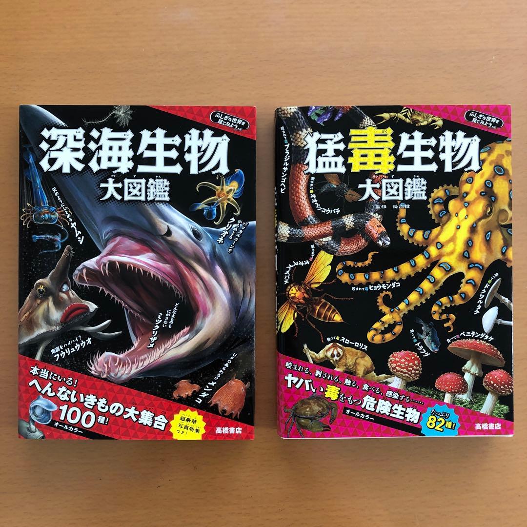 ゆるゆる図鑑12冊と猛毒生物大図鑑 ゆるゆる図鑑12冊と猛毒生物 ゆるゆる図鑑12冊と猛毒生物大図鑑 ゆるゆる図鑑12冊と猛毒生物