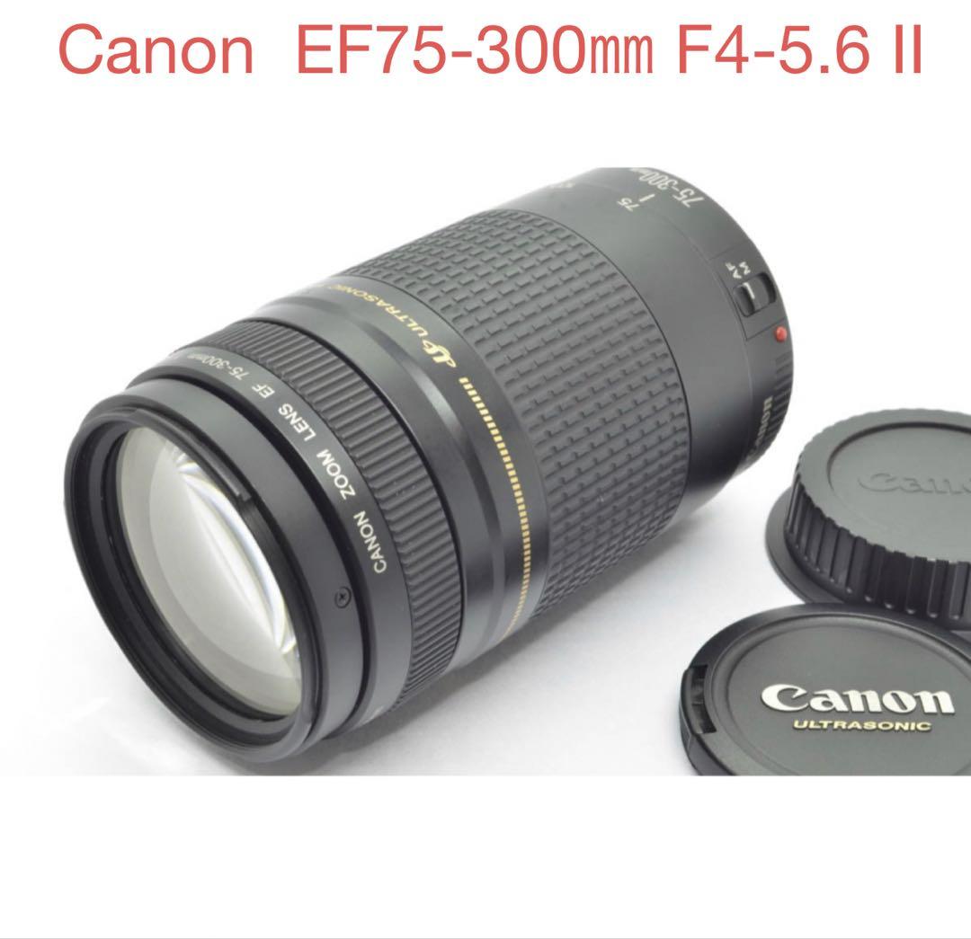 ❤ Canon EF 75-300mm キヤノン 望遠レンズ 一眼レフカメラ EF75-300mm F4-5.6 IS USM - キヤノンカメラミュージアム