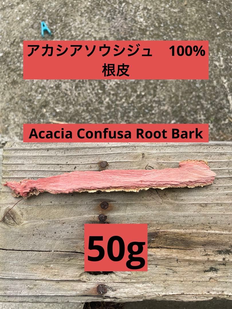 アカシア　Acacia ソウシジュ　相思樹　根皮100% 50g工作素材