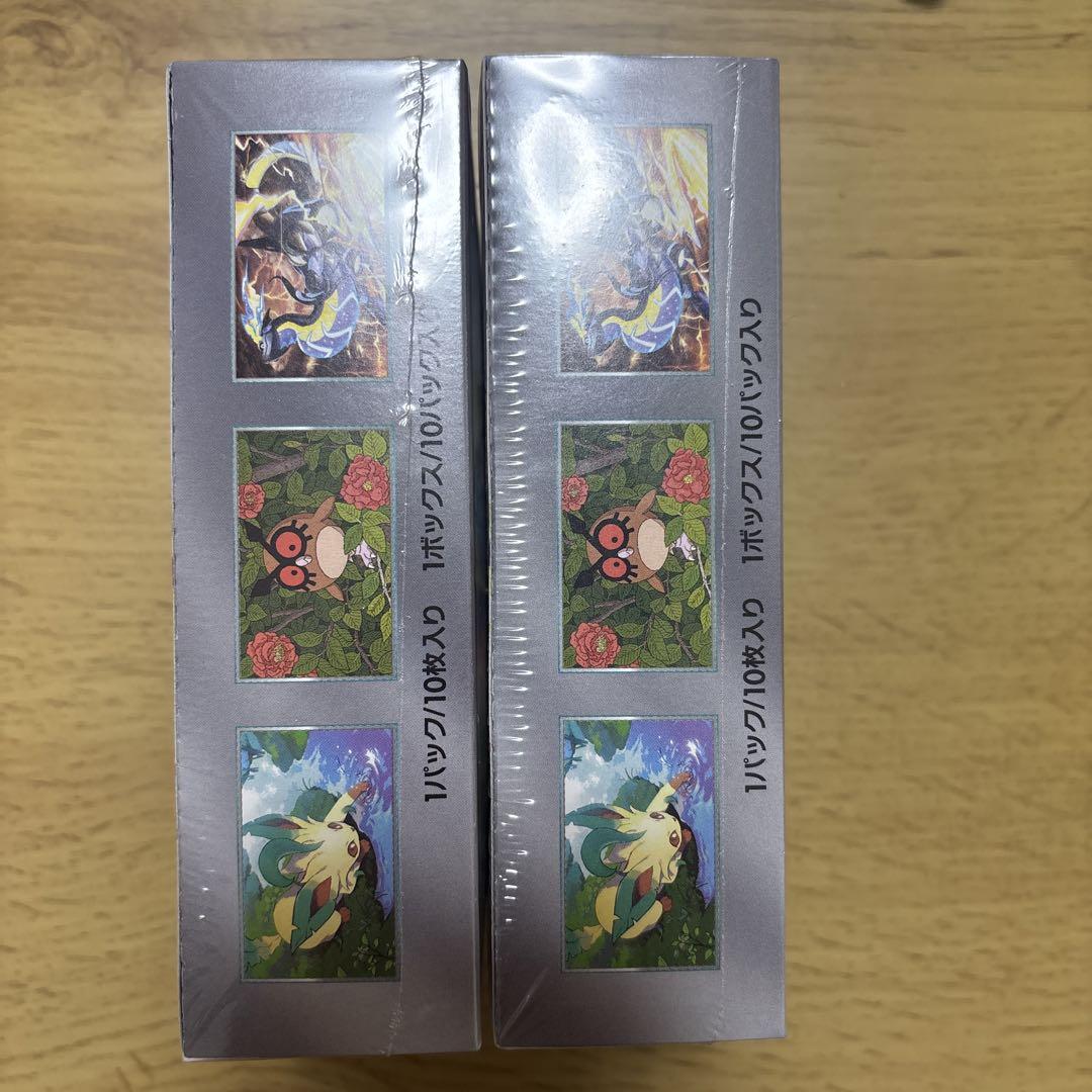 ポケモンカードゲーム テラスタルフェスex 2BOX