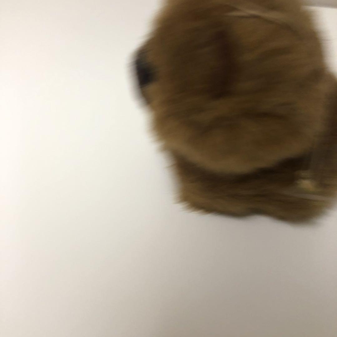 昭和レトロ　ムクムク　チャウチャウ　わんちゃん　犬　ぬいぐるみ