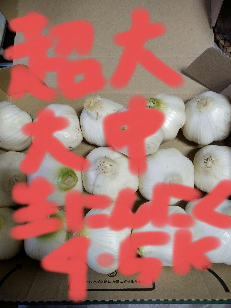 MIX　超大大中　生ニンニク　約4.5kg