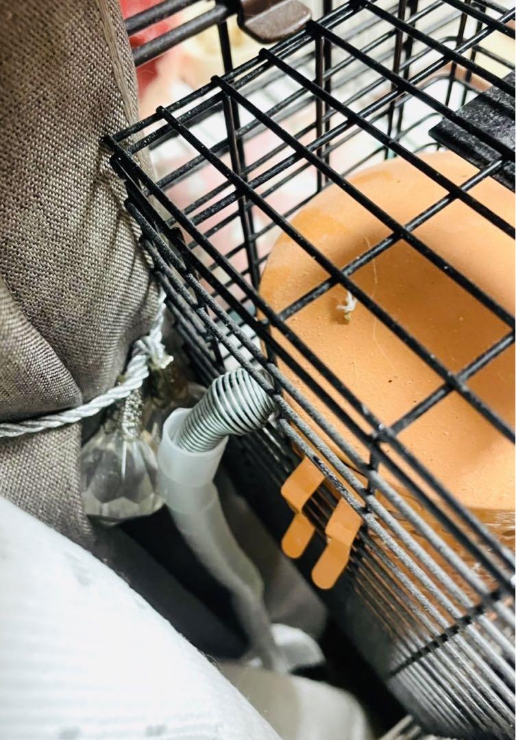 【3個】ペットヒーター 保温電球 カバー 保護ケース メッシュ 鳥 いたずら防止