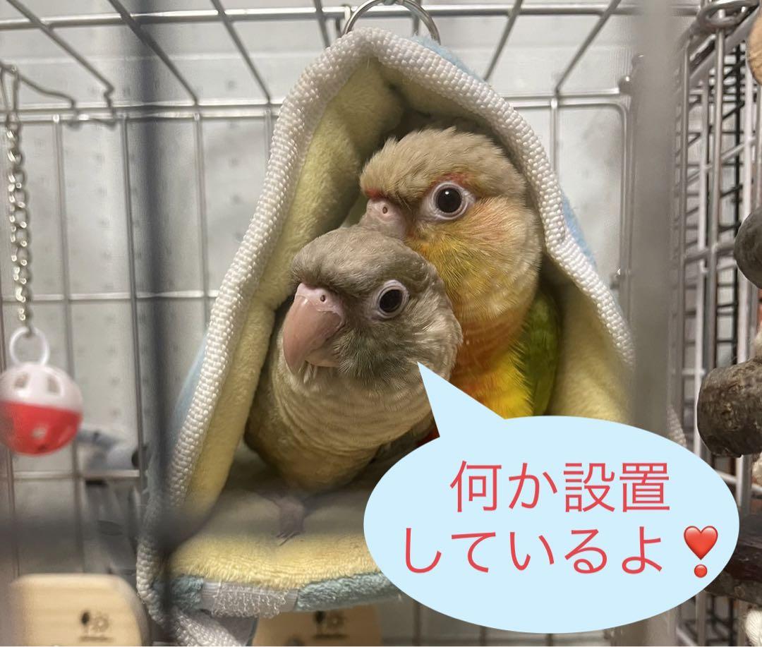 【3個】ペットヒーター 保温電球 カバー 保護ケース メッシュ 鳥 いたずら防止