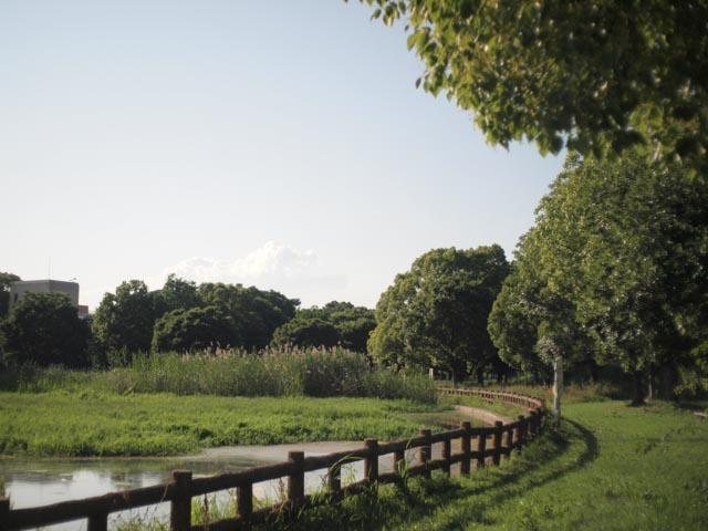 【写ルンです感覚のコンデジ】OLYMPUS PEN E-P1 24mm