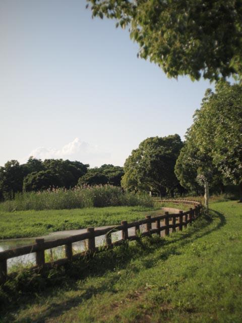 【写ルンです感覚のコンデジ】OLYMPUS PEN E-P1 24mm