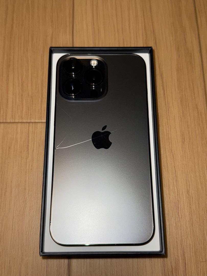 Apple iPhone 13Pro 256GB グラファイト