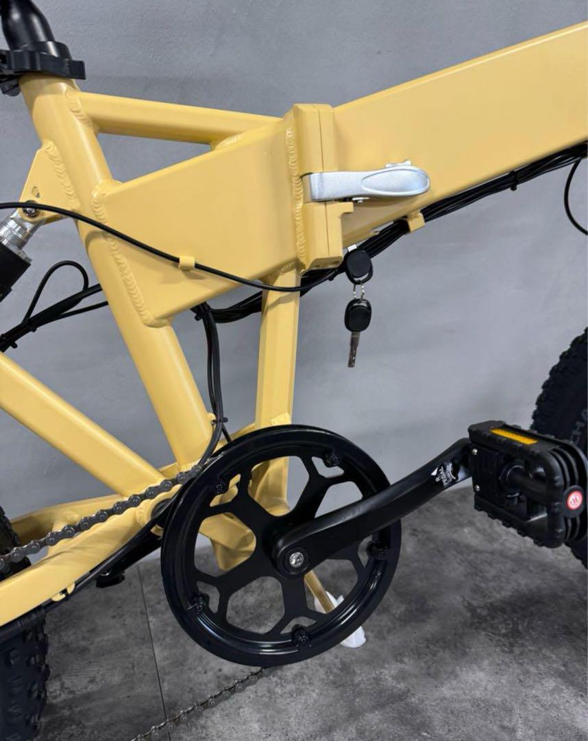 送料無料 ギフト 送料込み MATE 系 750Wモーター EBIKE電動自転車 48V12.5A 自転車本体
