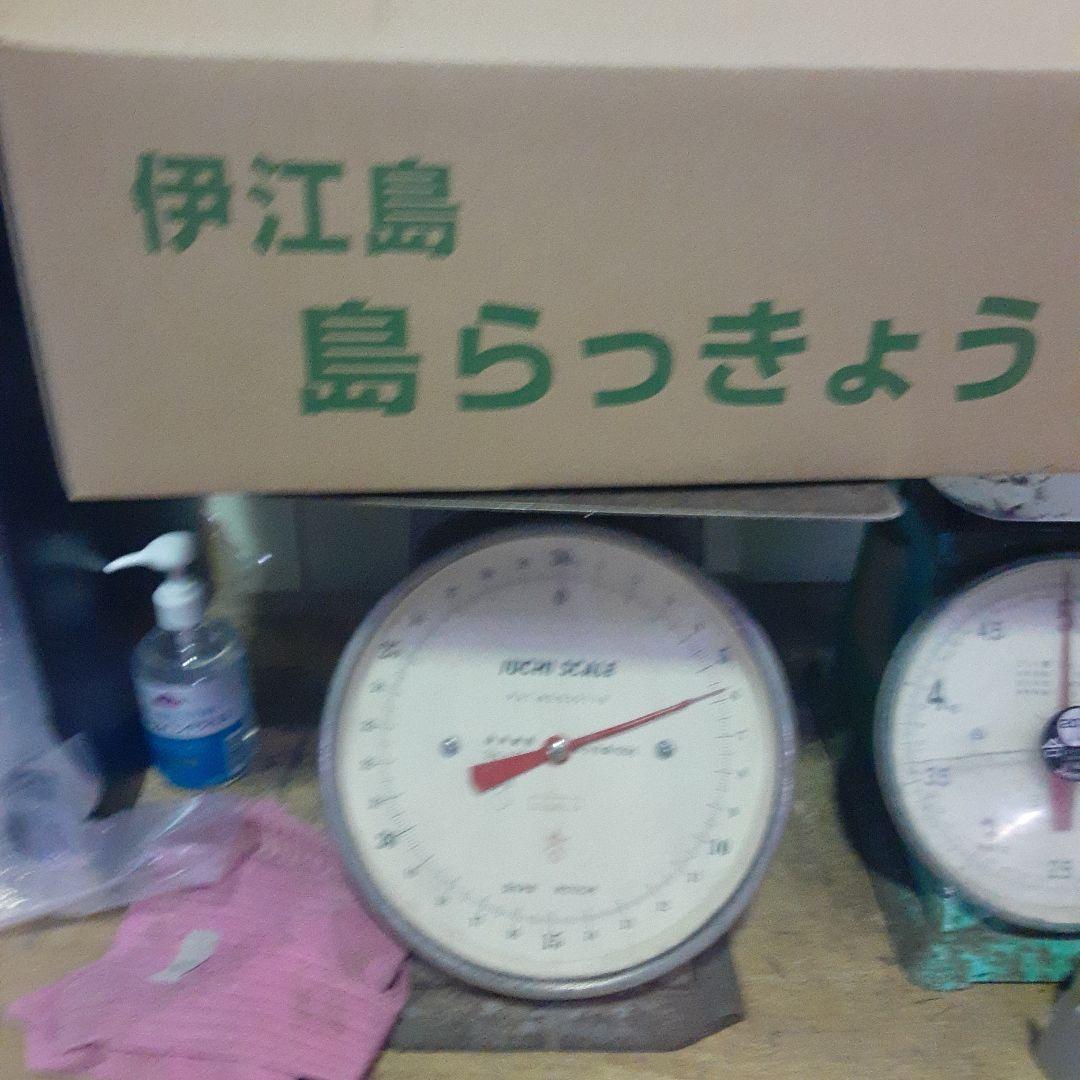 伊江島産♪島らっきょう5㎏③