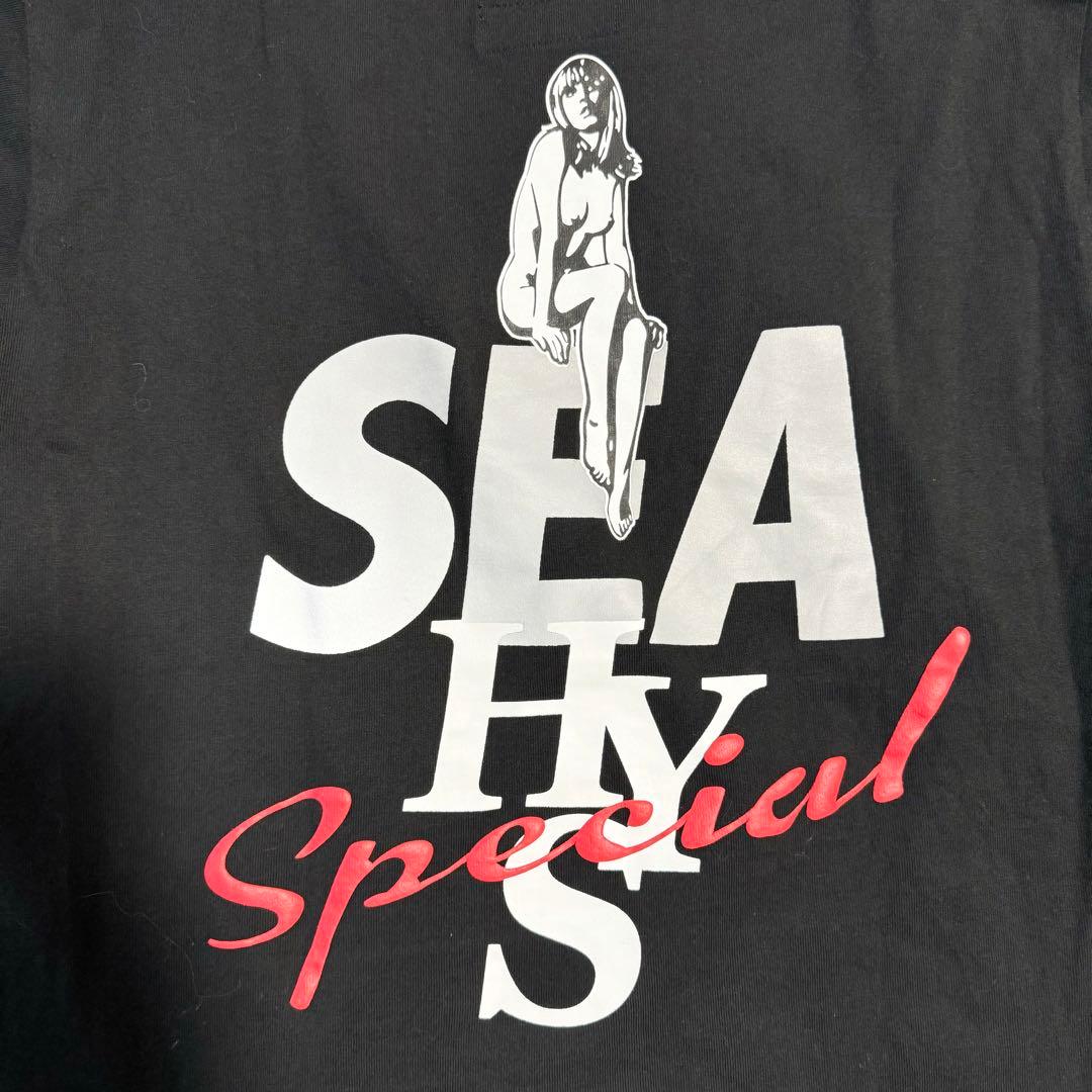 ほぼ未使用ヒステリックグラマーウィンダンシーTシャツM