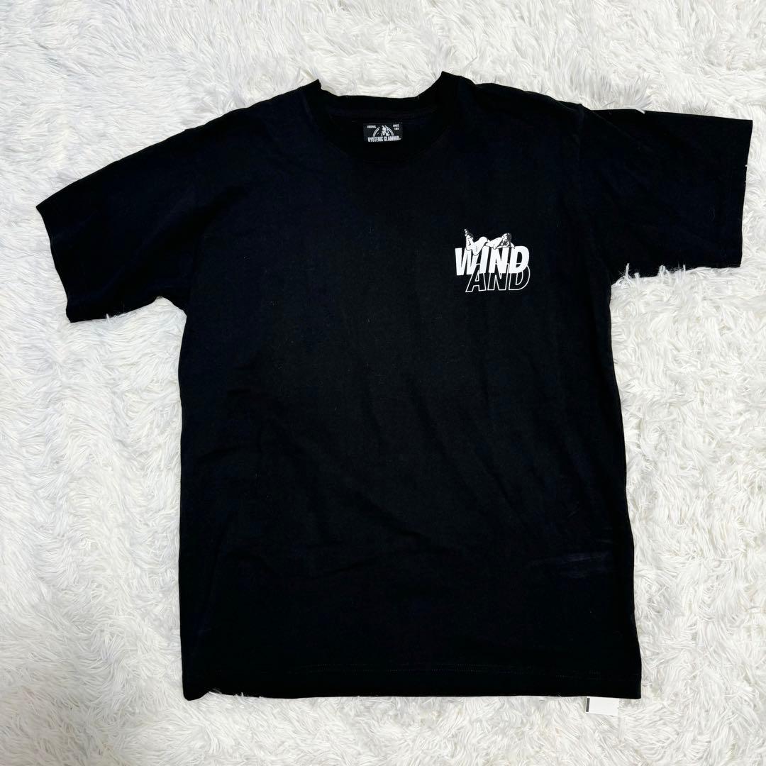 ほぼ未使用 ヒステリックグラマー ウィンダンシー Tシャツ M