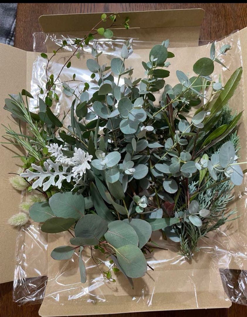 Dried Flower Material - Over 8 Types - Fresh Green Cut Branches