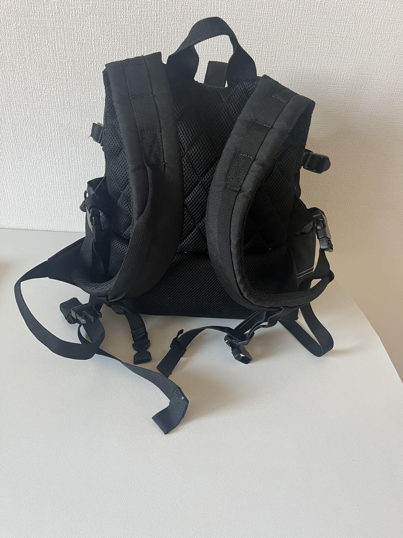 Lee 黒 キャリーバッグ　超小型犬用