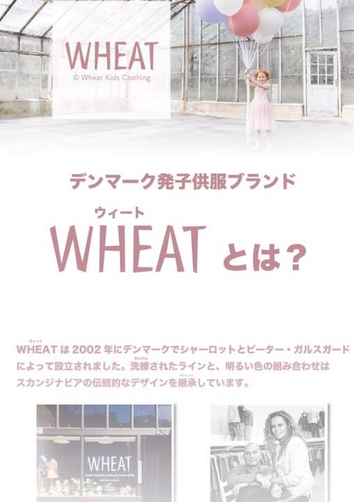 メルカリ デンマーク子供服ブランド Wheat チュニック 14歳サイズ トップス チュニック 333 中古や未使用のフリマ メルカリ デンマーク子供服ブランド Wheat チュニック 14歳サイズ トップス チュニック 333 中古や未使用のフリマ